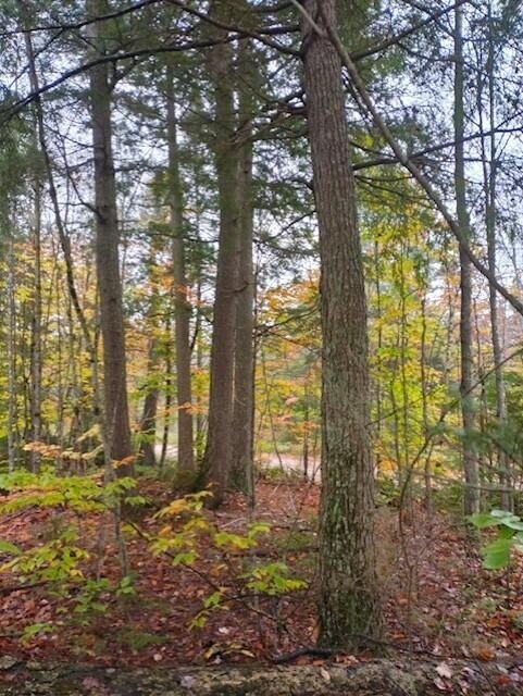 Other - 2137 N Hulbert RD, Paradise, MI