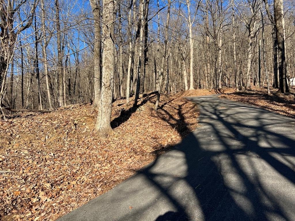 Other - Sassafras Court, Jasper, GA