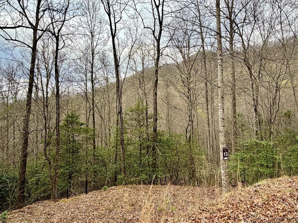 Other - Lot 14 The Highlands, Hiawassee, GA