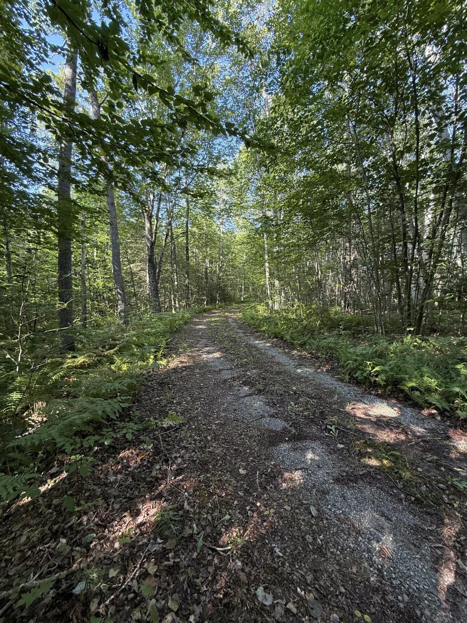 Other - Part of Map 7 Lot 48-A Nelson Ridge Road S, Washington, ME