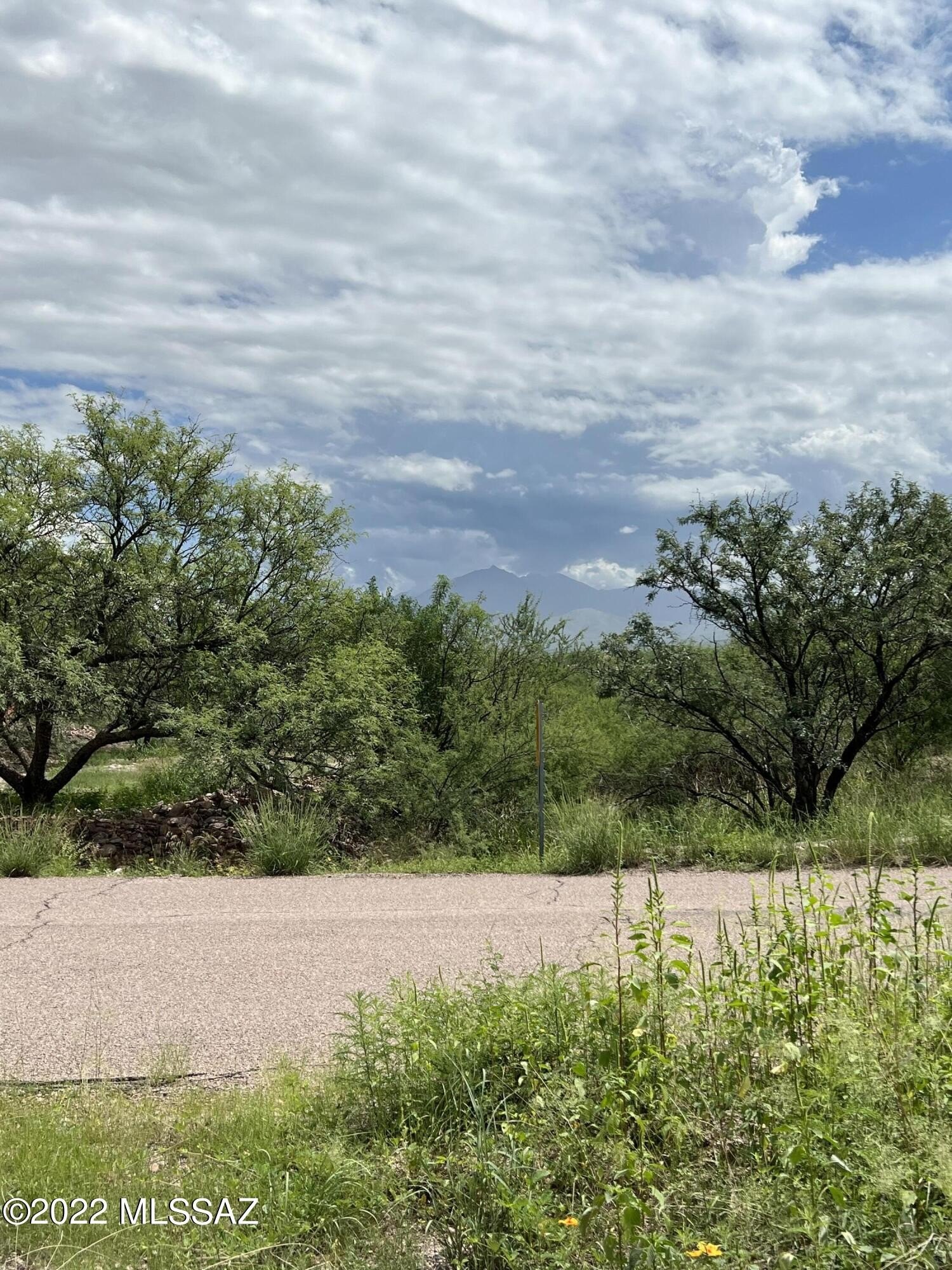 2248 Calle Palo Parado  