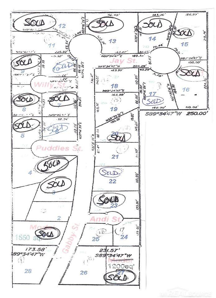 Other - GABBY STREET LOT 2, Croswell, MI