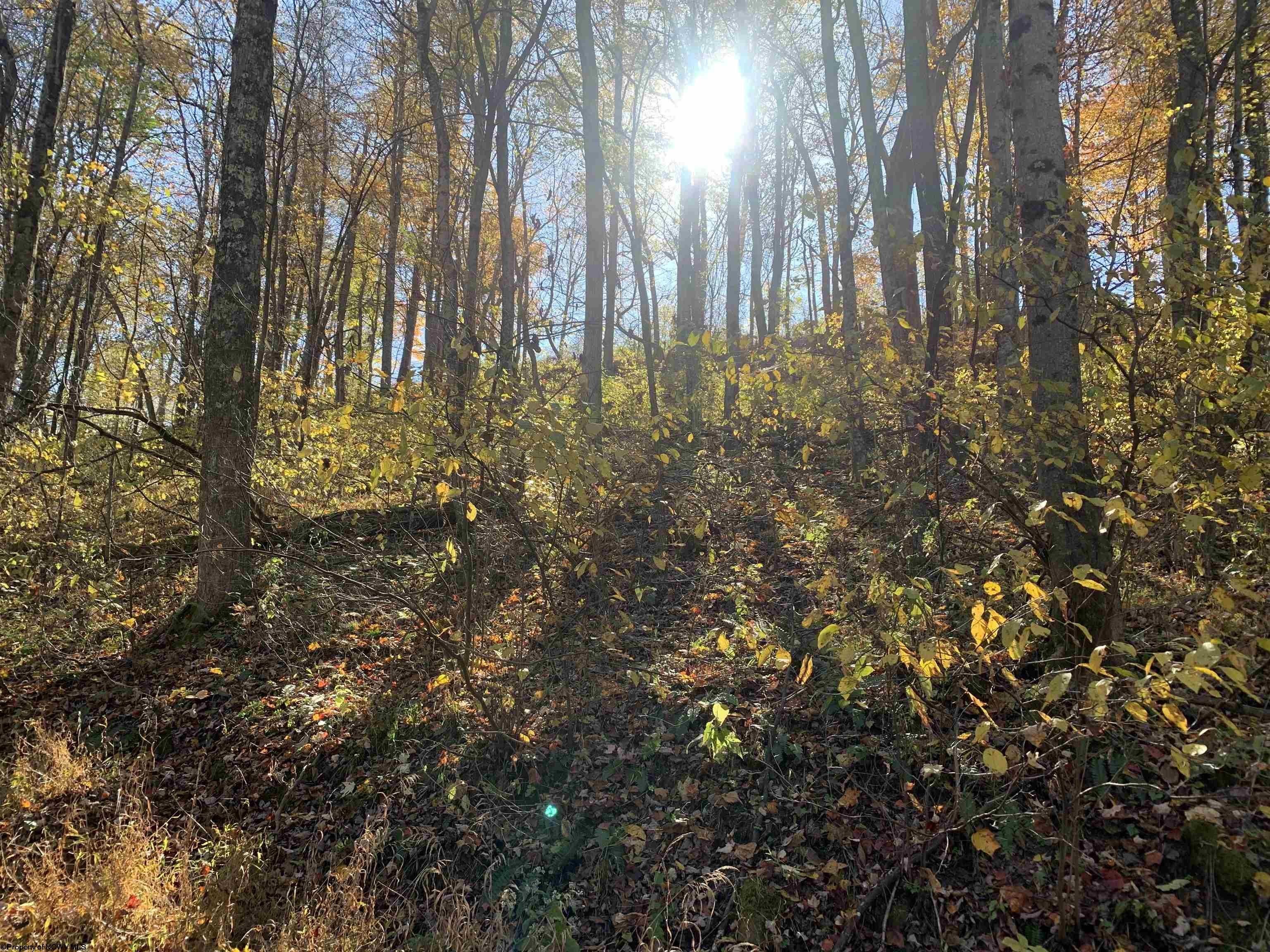 Other - 2208 Arden Road, Philippi, WV