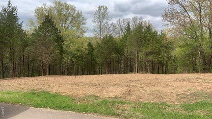 Other - 11524 Ten Point Lane, Festus, MO