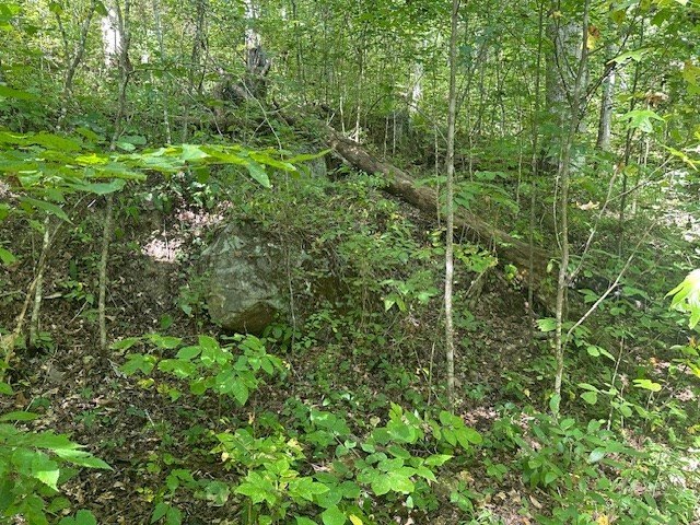 Other - 6360 Wilder Hwy lot: 364A, Wilder, TN
