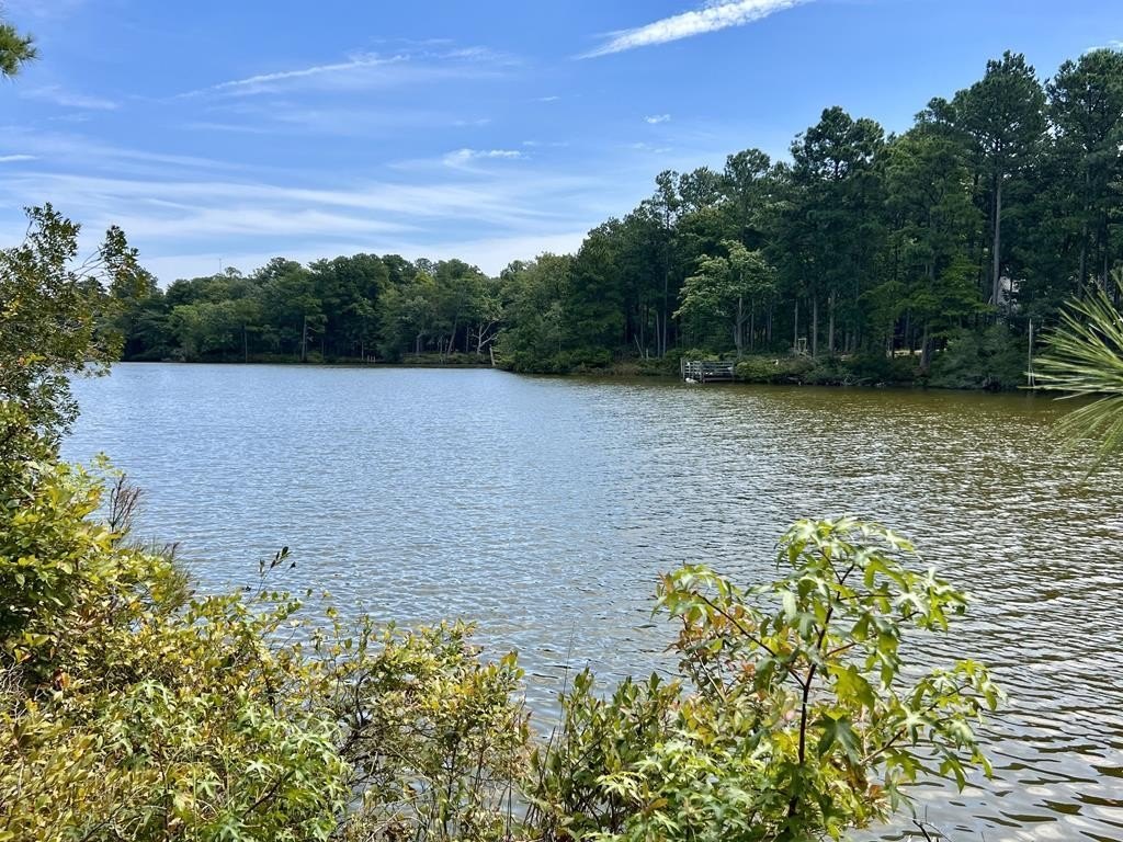 Single Family - Lot 18 Mob Neck Road, Heathsville, VA