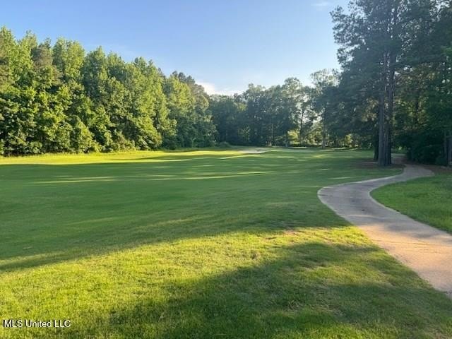 Other - Fairway Drive lot: 40, Natchez, MS