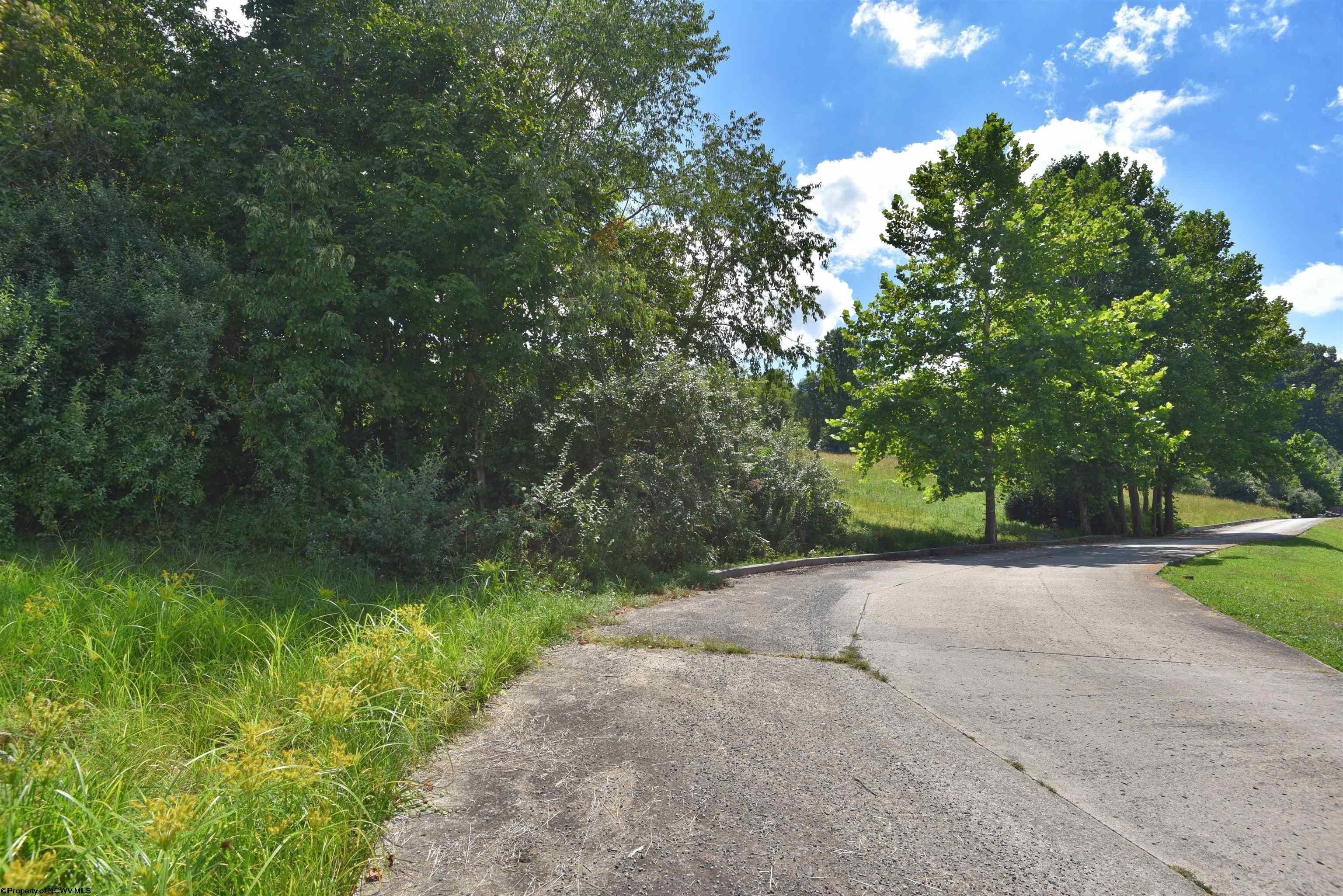 Other - Birch Street lot: 48, Grafton, WV