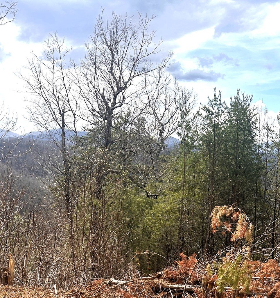 Other - Walnut Cove, Bryson City, NC