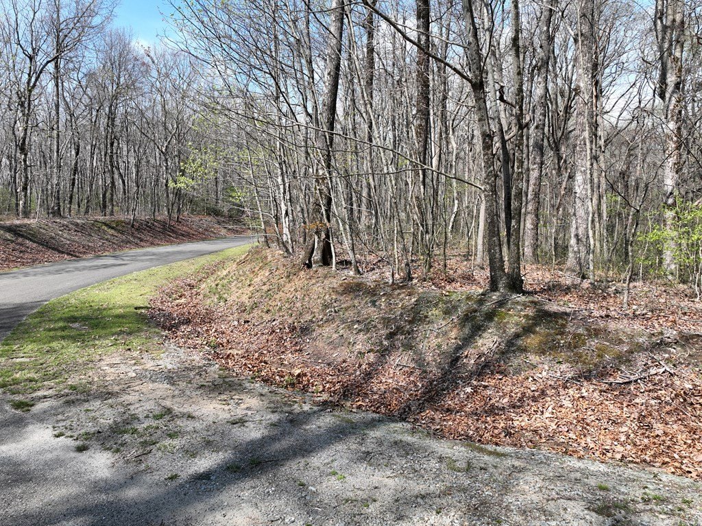 Other - 189 St Andrews Way, Ellijay, GA