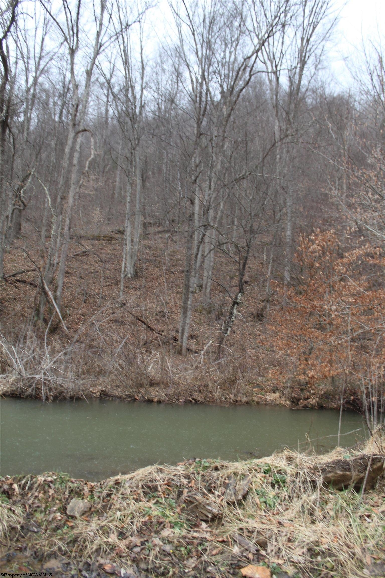 Other - 1155 Price Run Road, Webster Springs, WV