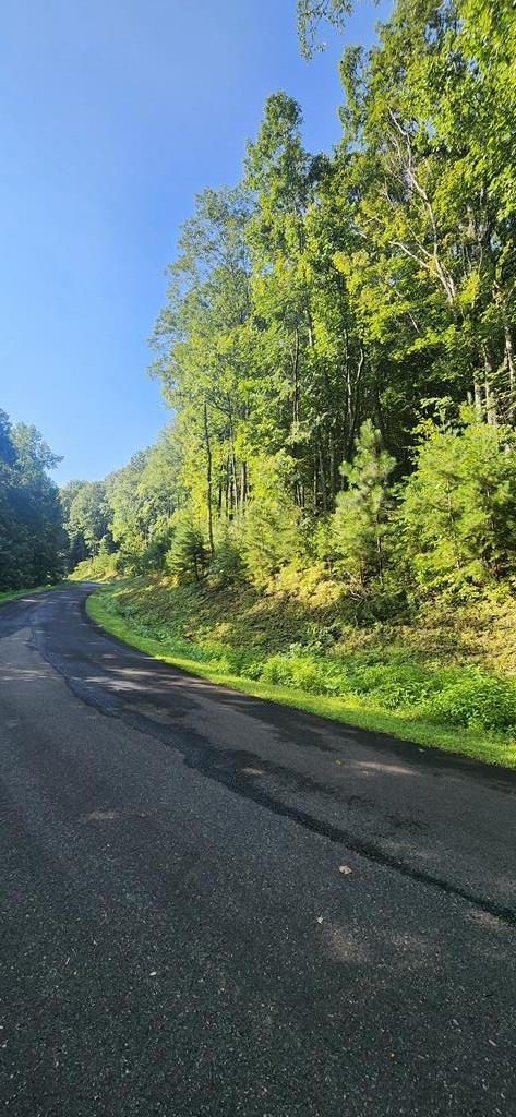 Other - L176 Trailwood Drive, Ellijay, GA