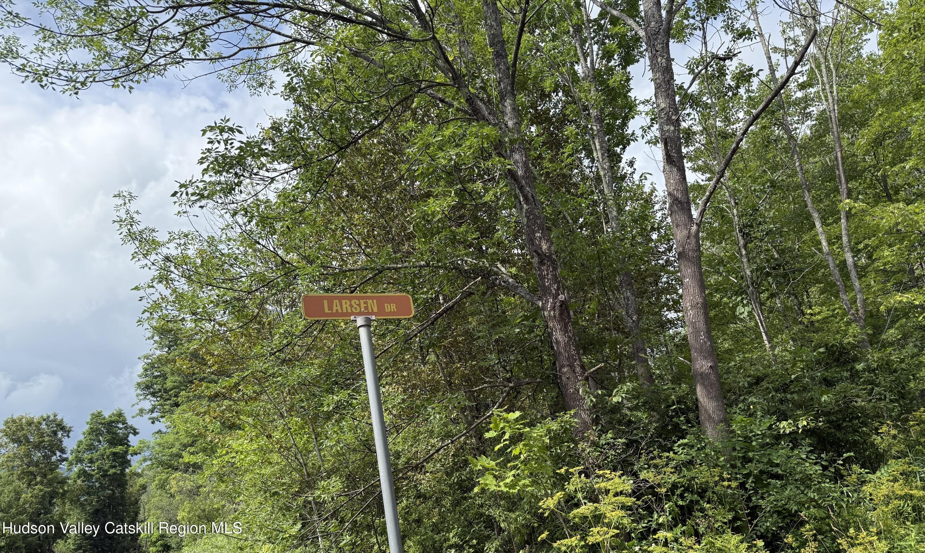 Other - Larsen Dr, Windham, NY