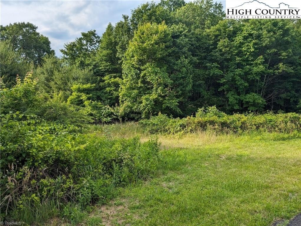 Other - Briarwood Lane lot: 13, Sparta, NC
