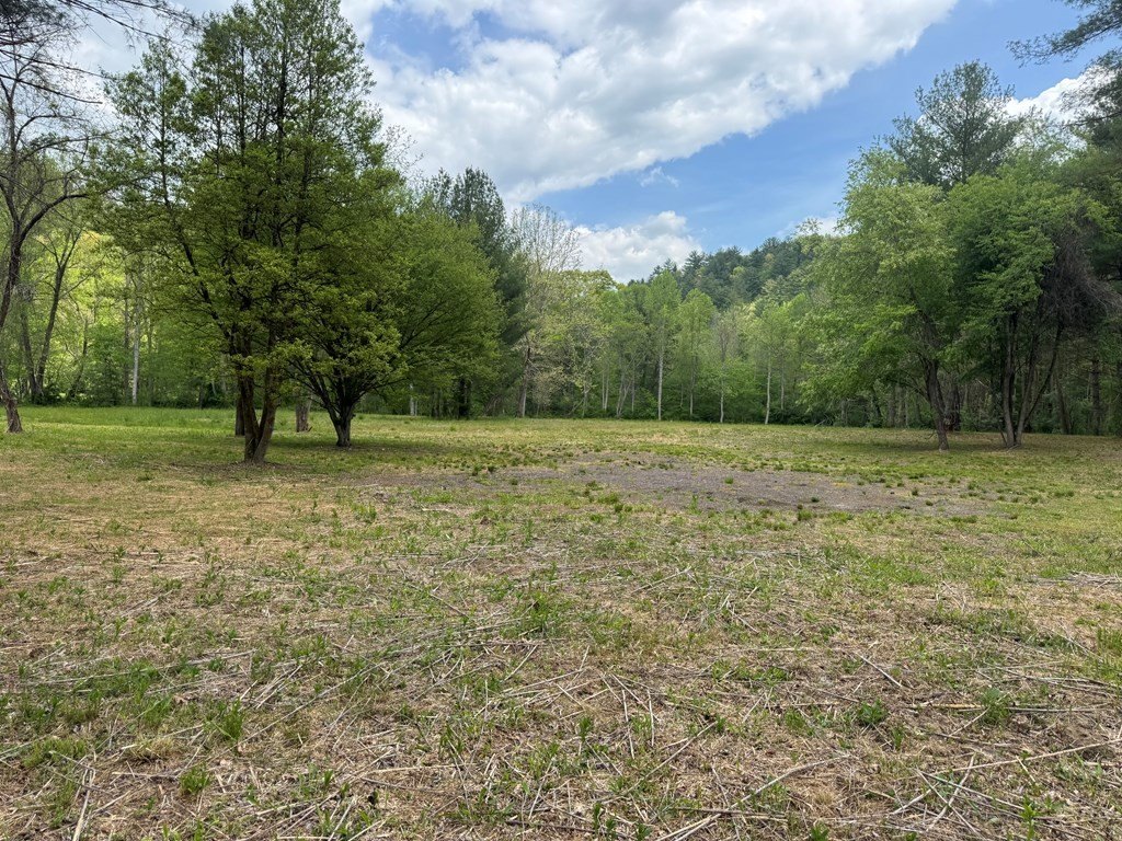 Other - Double Creek Drive lot: 5, Suches, GA