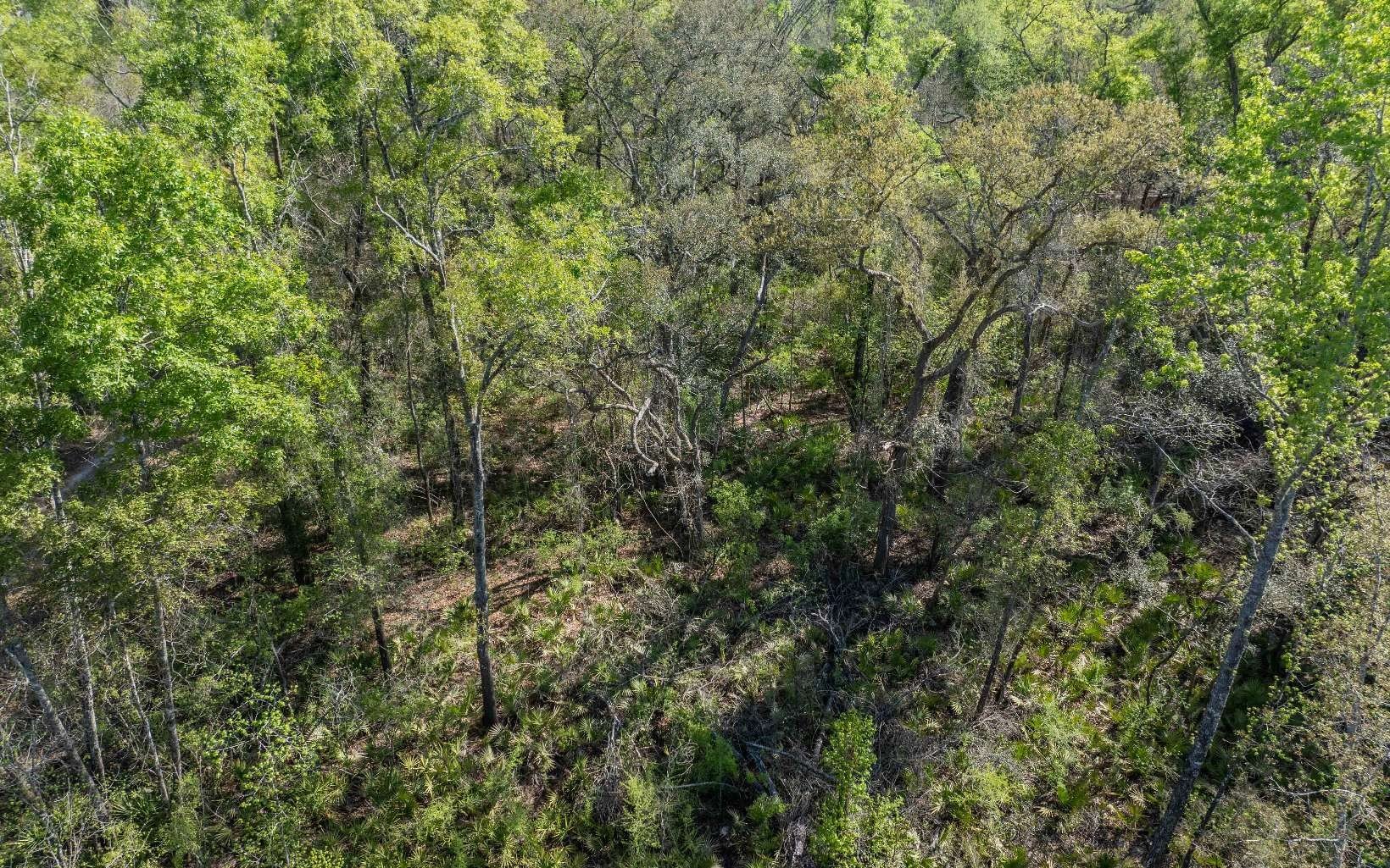 Other - 181ST RD, Live Oak, FL