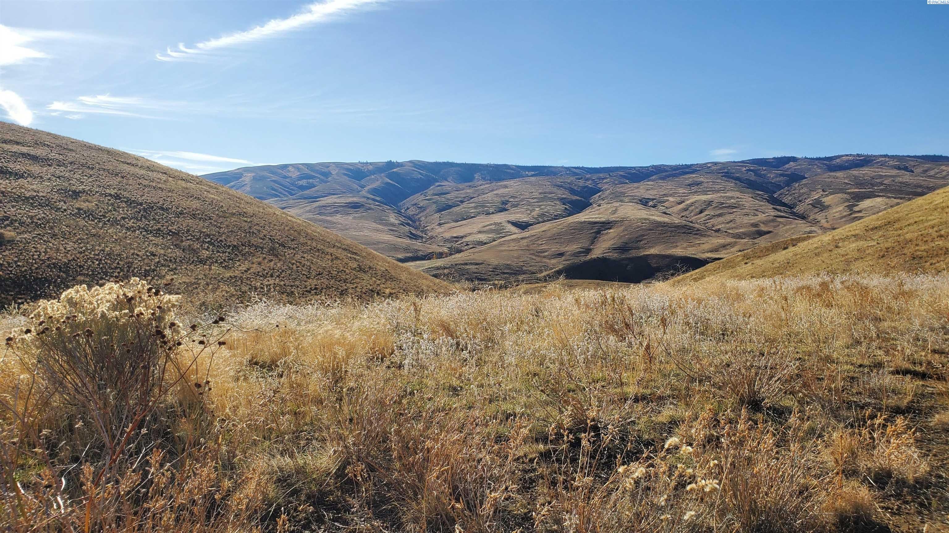 Other - Nka Elk Ridge Ln / Wenas Rd, Selah, WA