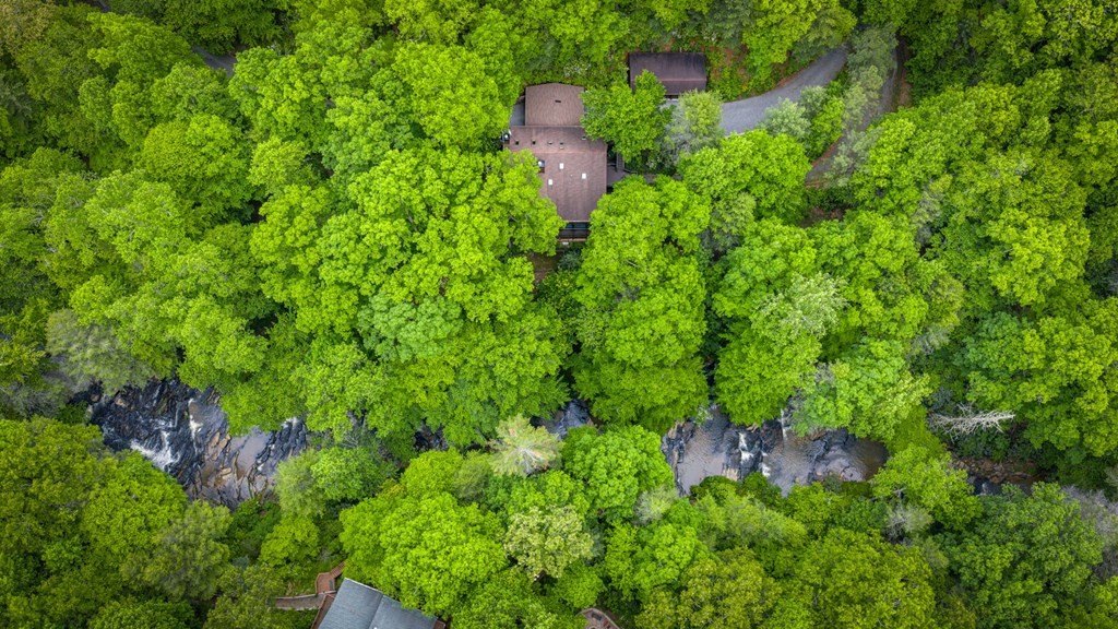 Other 5BR 6BA - 4396 Hwy 382, Ellijay, GA