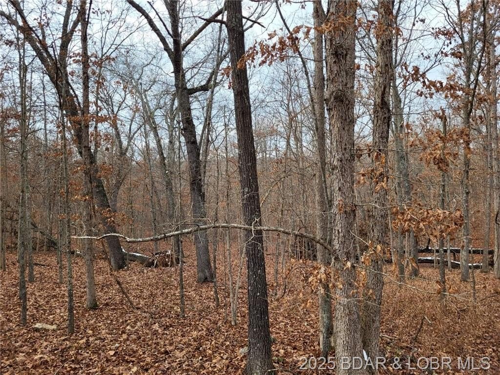 Other - Dunn Drive, Edwards, MO
