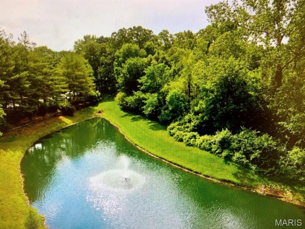 Condo 2BR 2BA - 1034 Alpine Ridge Drive, Ballwin, MO