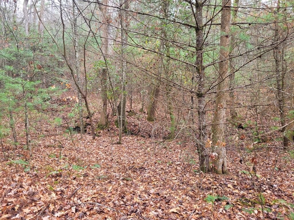 Other - Lot 31 Poplar Cove, Hayesville, NC