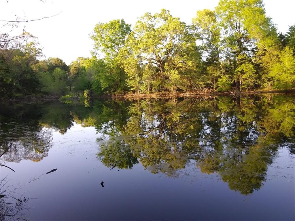 Other 3BR 4BA - 1350 County Road 45400, Paris, TX