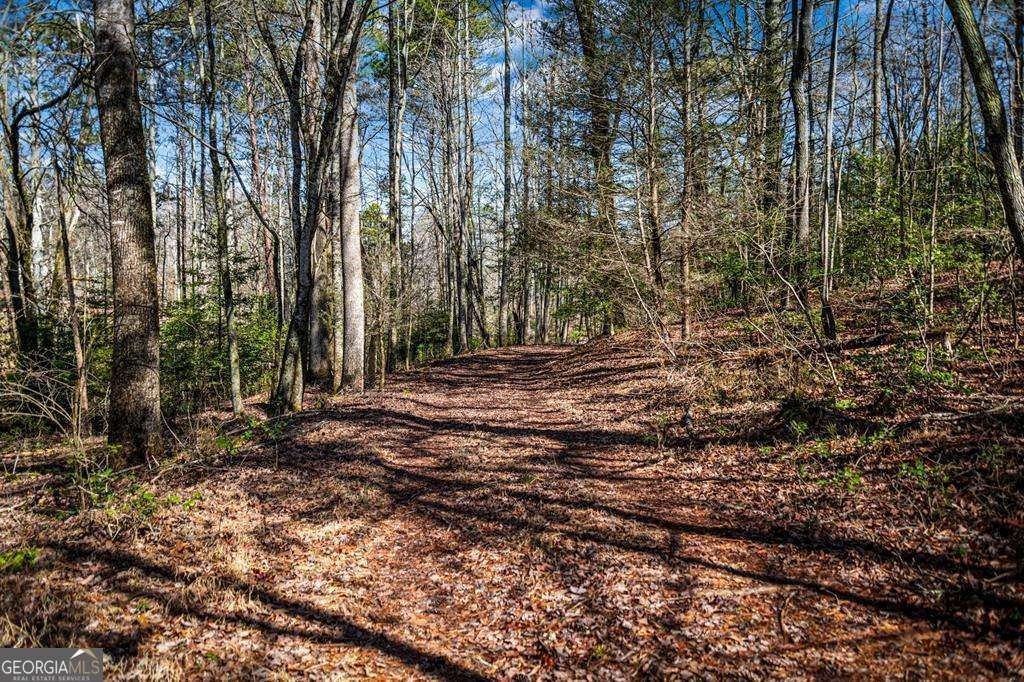 Other - TRACT C Captains CV, Blairsville, GA