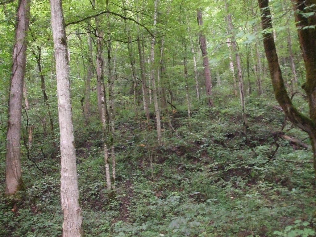 Other - 0 DB 702 DP 418 Midas Road, Hueysville, KY