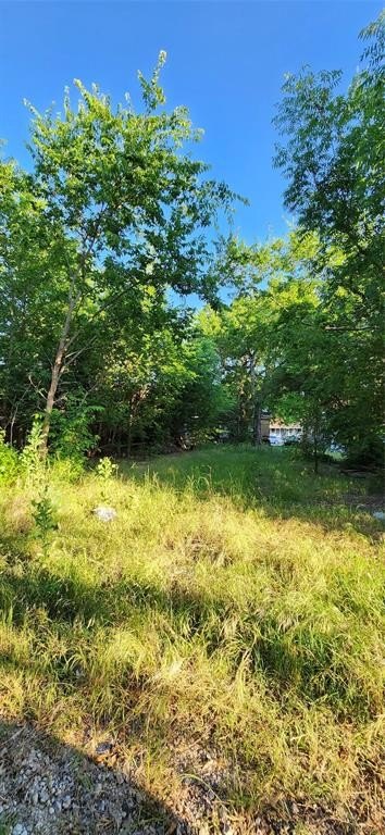 Single Family 1BR 1BA - 1407 E Wells Avenue, Sherman, TX