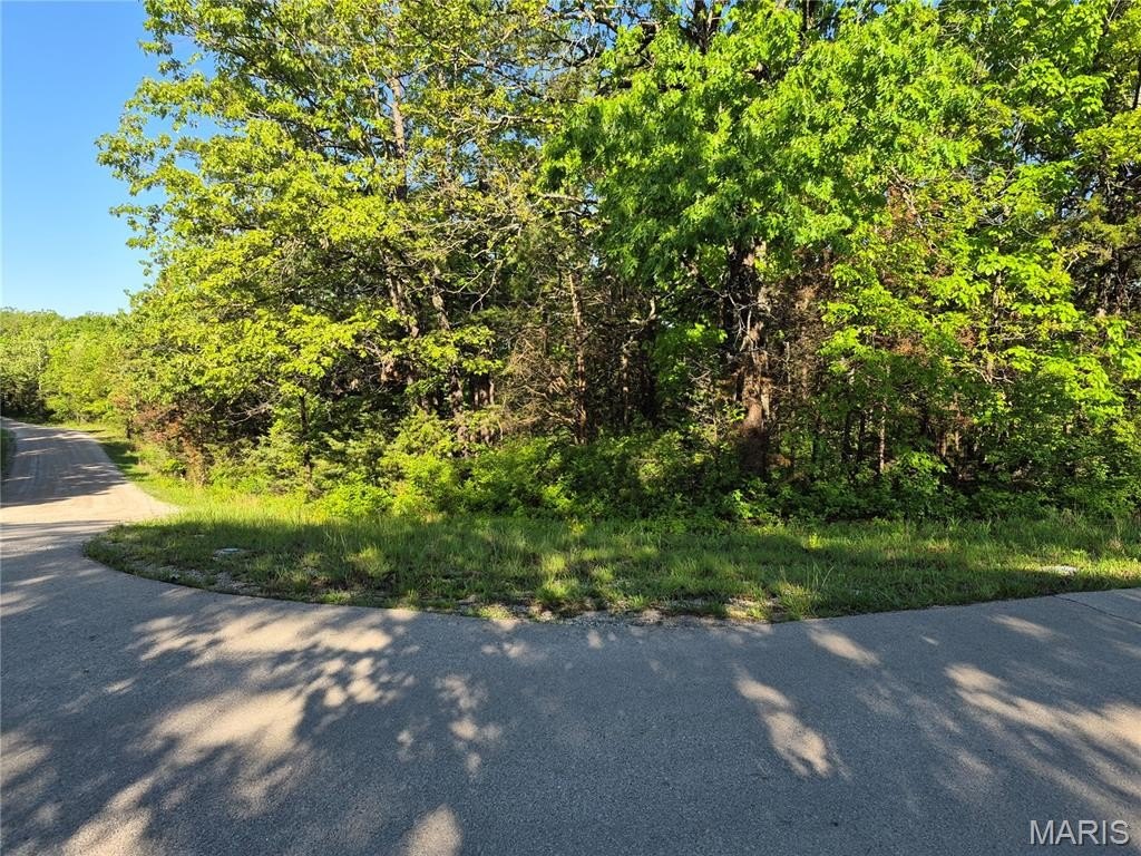 Other - 0 Rue Chambly, Bonne Terre, MO