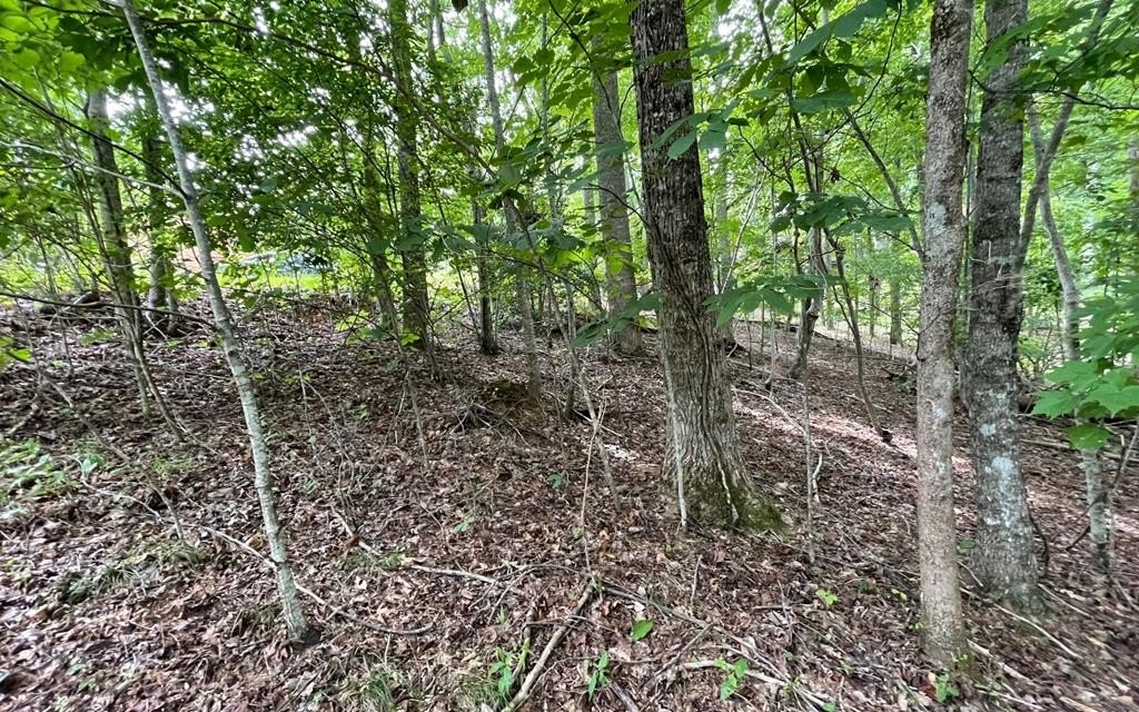 Other - Lot 3 Morgan Creek, YOUNG HARRIS, GA