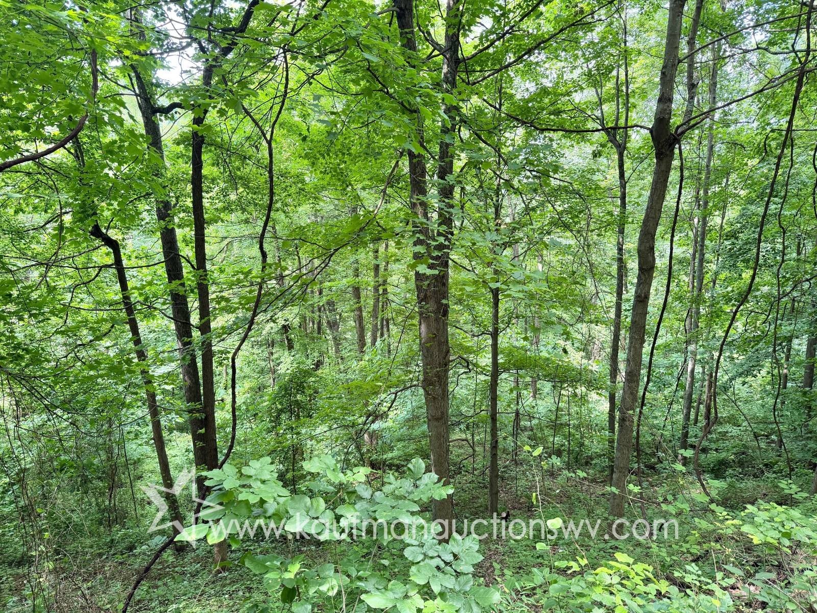 Other - County Road 20, Gassaway, WV