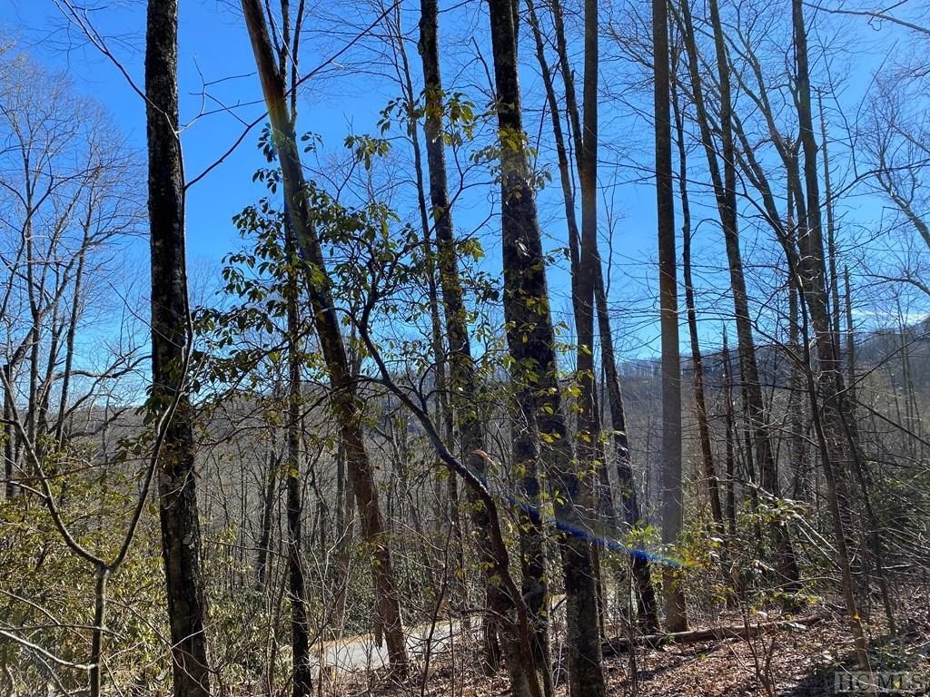 Other - GlenCove Drive lot: 9, Cashiers, NC