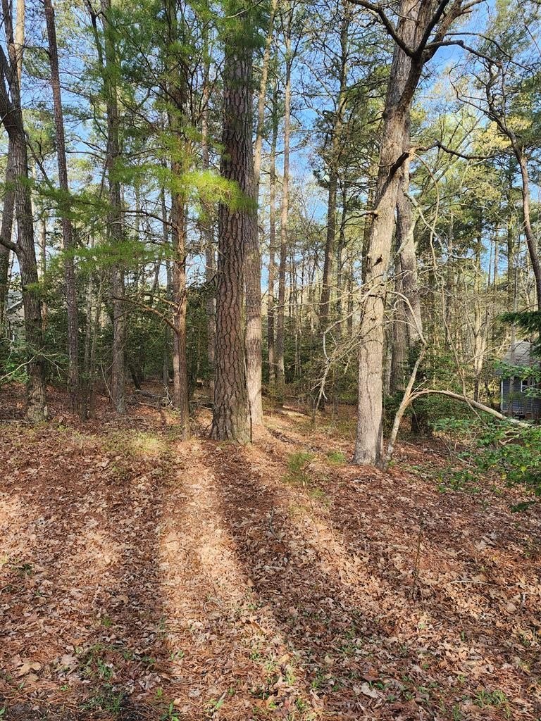 Other - 0 SPINNAKER ST, GREENBACKVILLE, VA