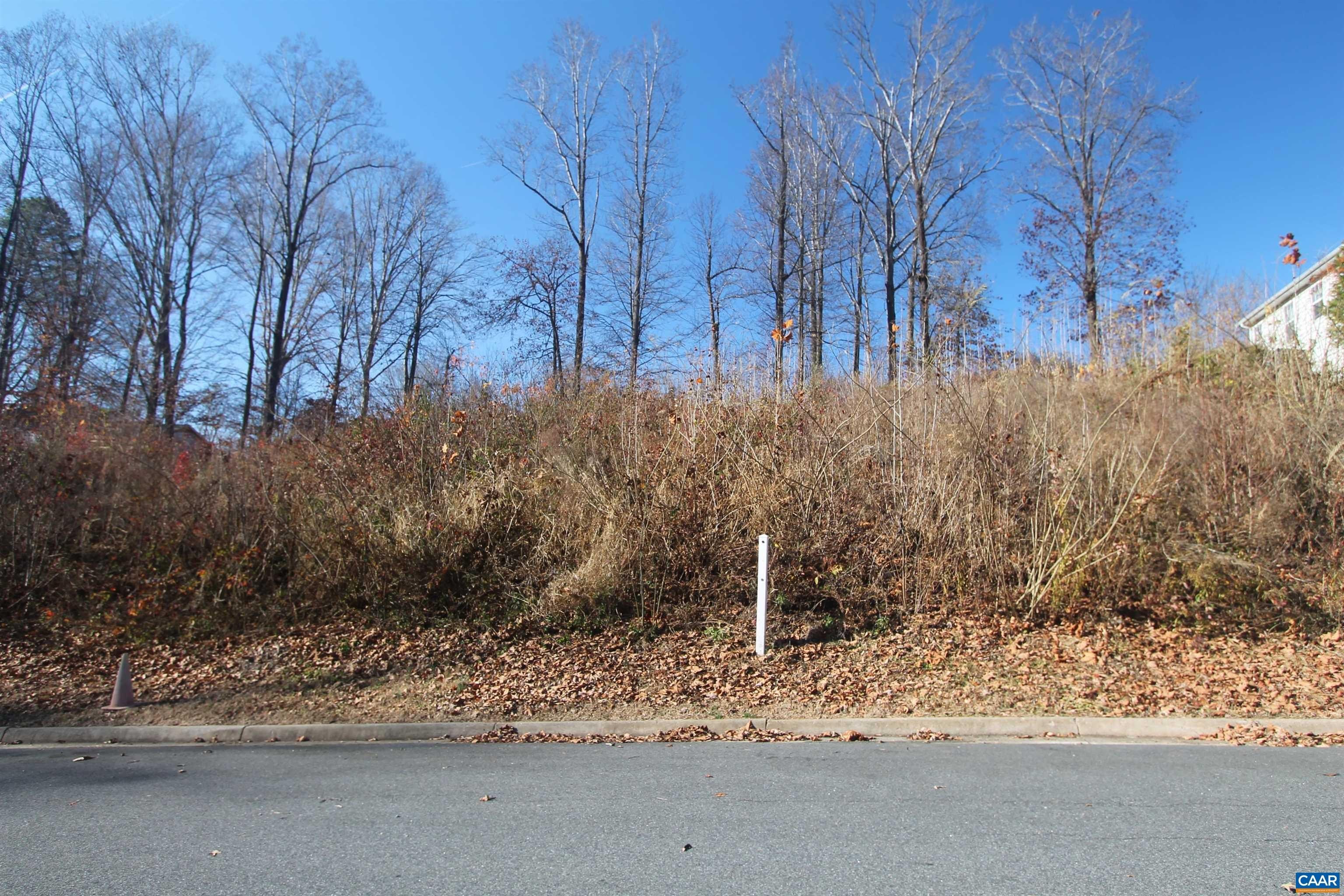 Other - TBD28 BARNSDALE RD, CHARLOTTESVILLE, VA