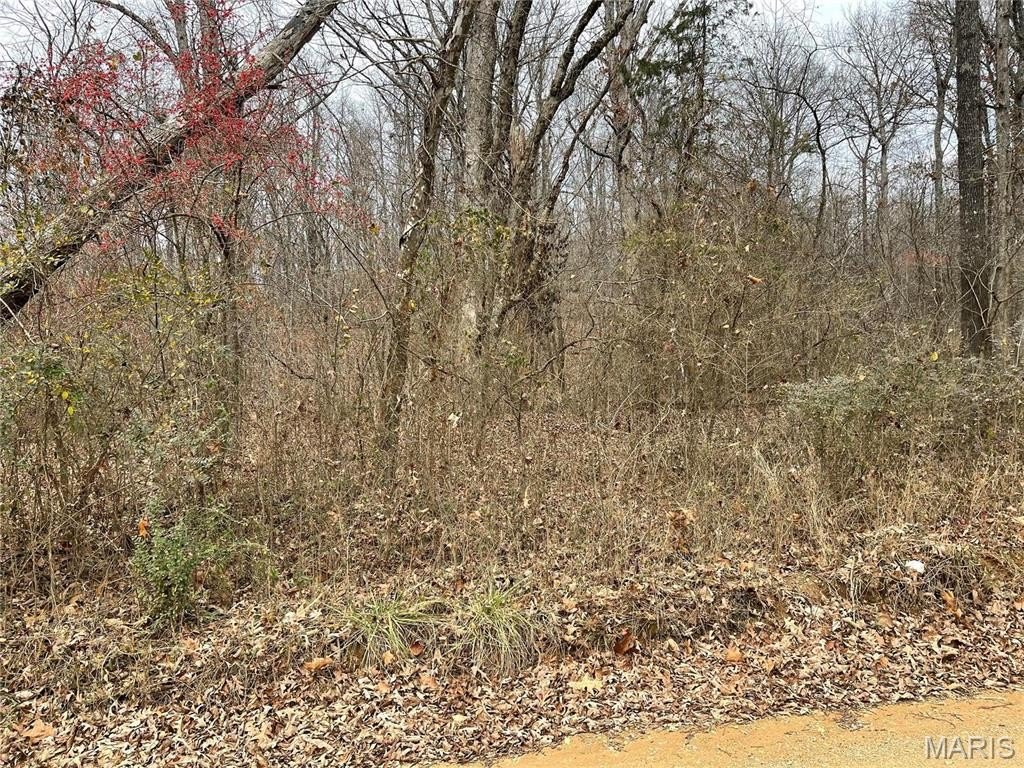 Plots and Land - 0 County Road 160 E-4, Doniphan, MO