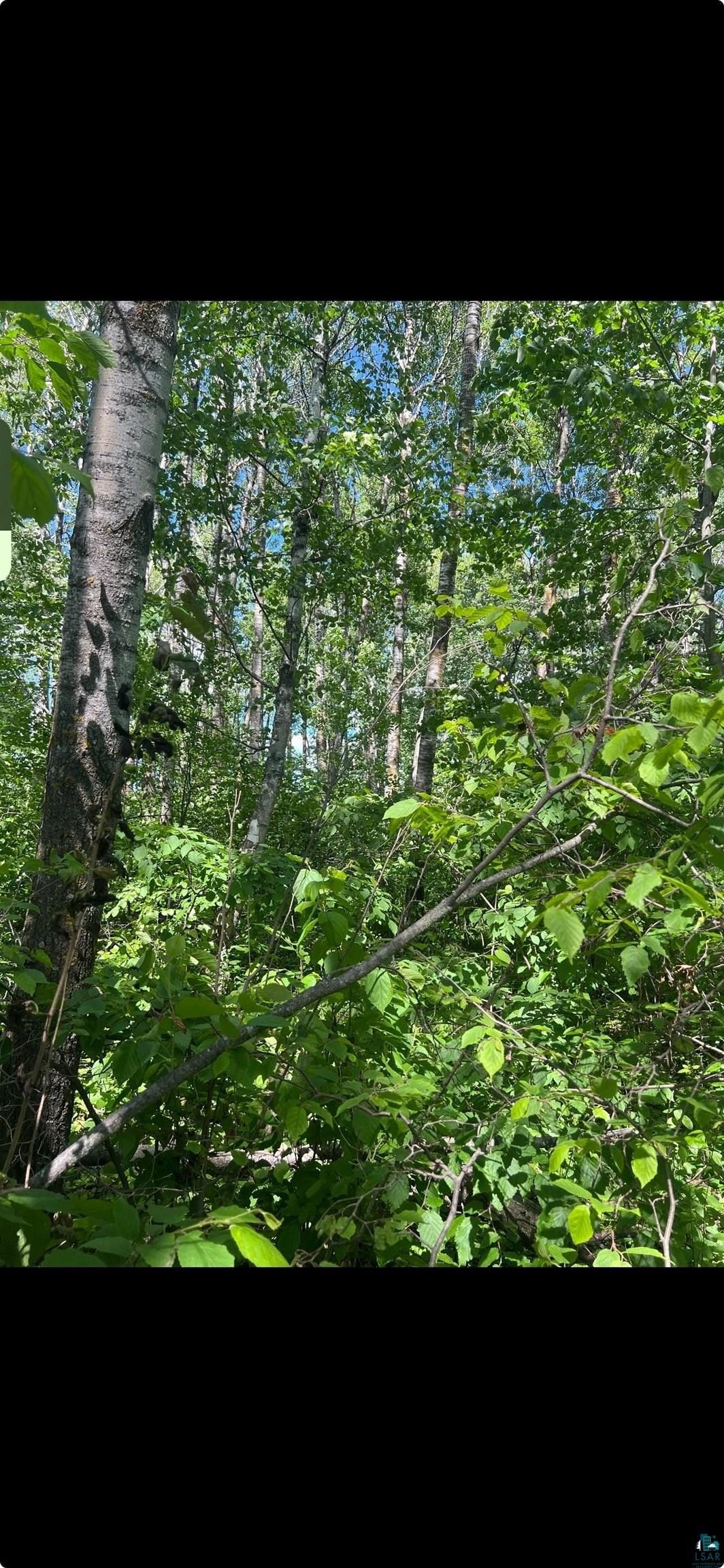 Single Family - County Rd 103, Blackhoof, MN