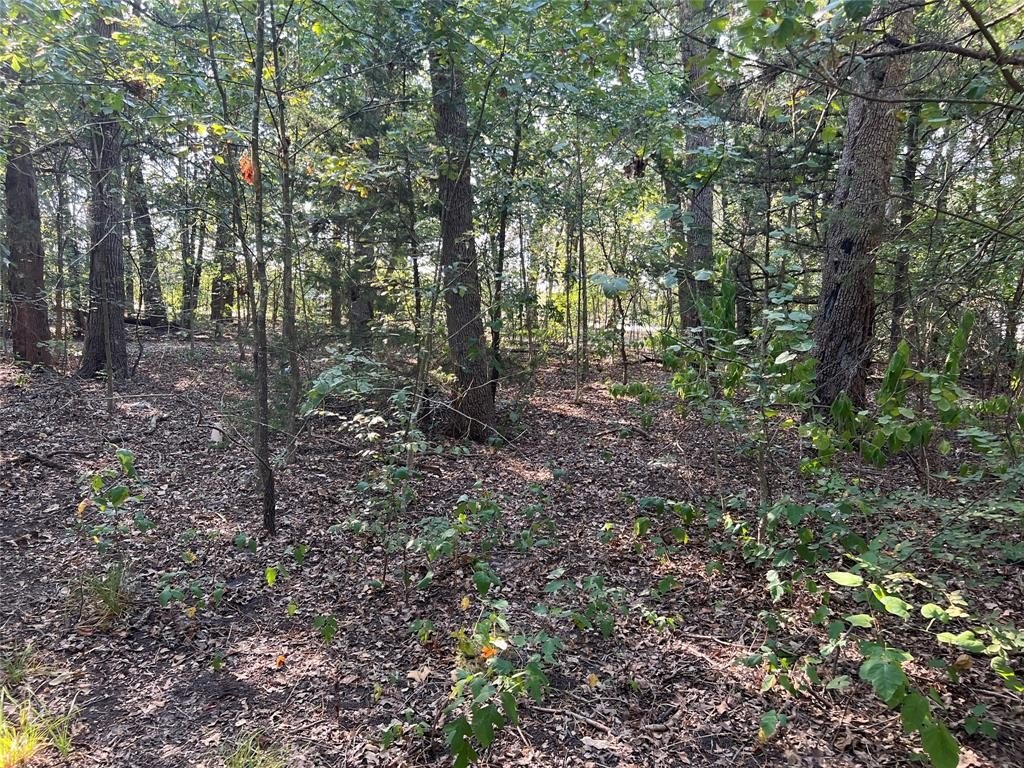 Other - 16333 Co Rd 339, Terrell, TX