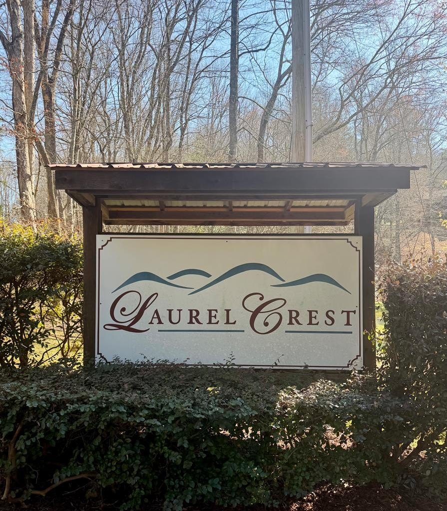 Other - Eastern Ridge lot: 17, Murphy, NC