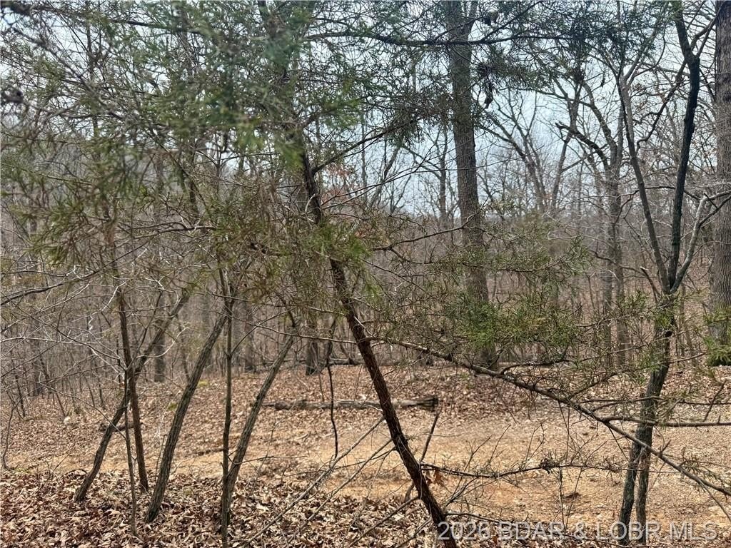 Other - Lot 60 Pine Dr, Rocky Mount, MO