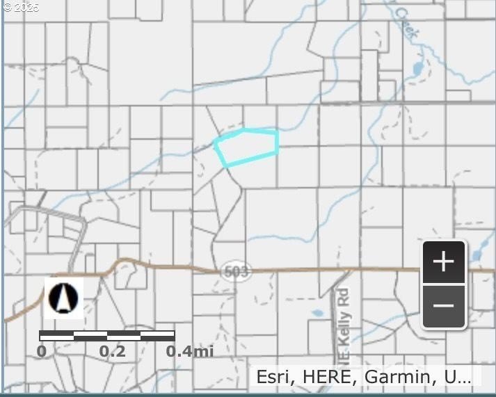 Other - NE 197th Ct, Amboy, WA