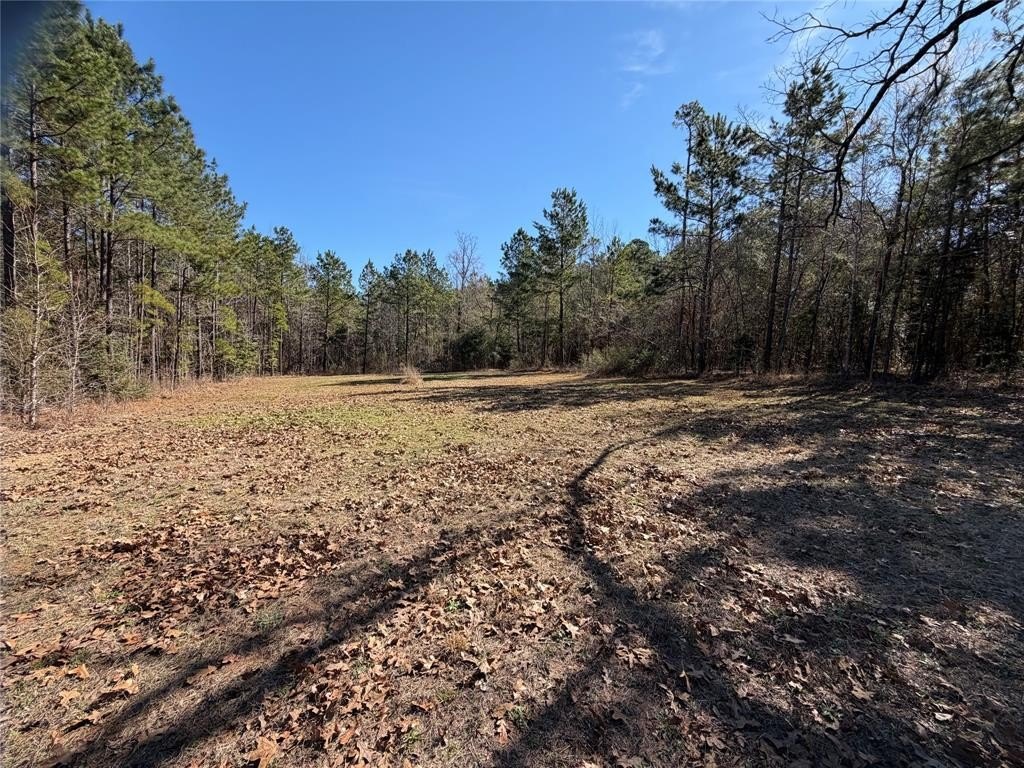 Other - 805 County Road 3210, Jacksonville, TX