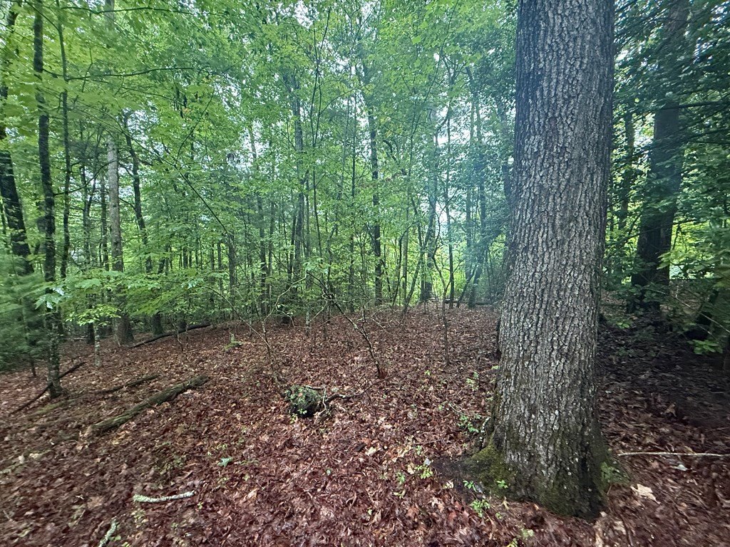 Other - White Pine Drive lot: 15, Hayesville, NC