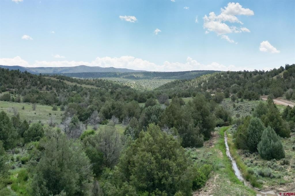 Single Family - 3605 CR 307, Durango, CO
