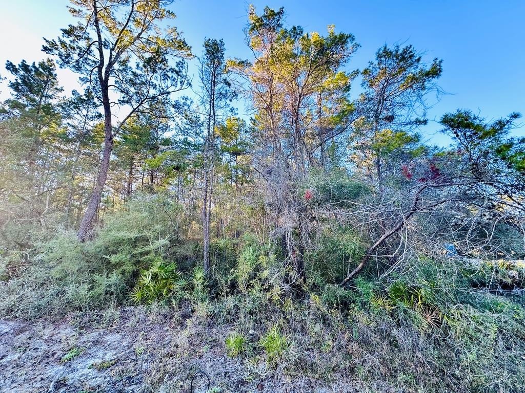 Other - 2041 Hwy 98 W, Carrabelle, FL