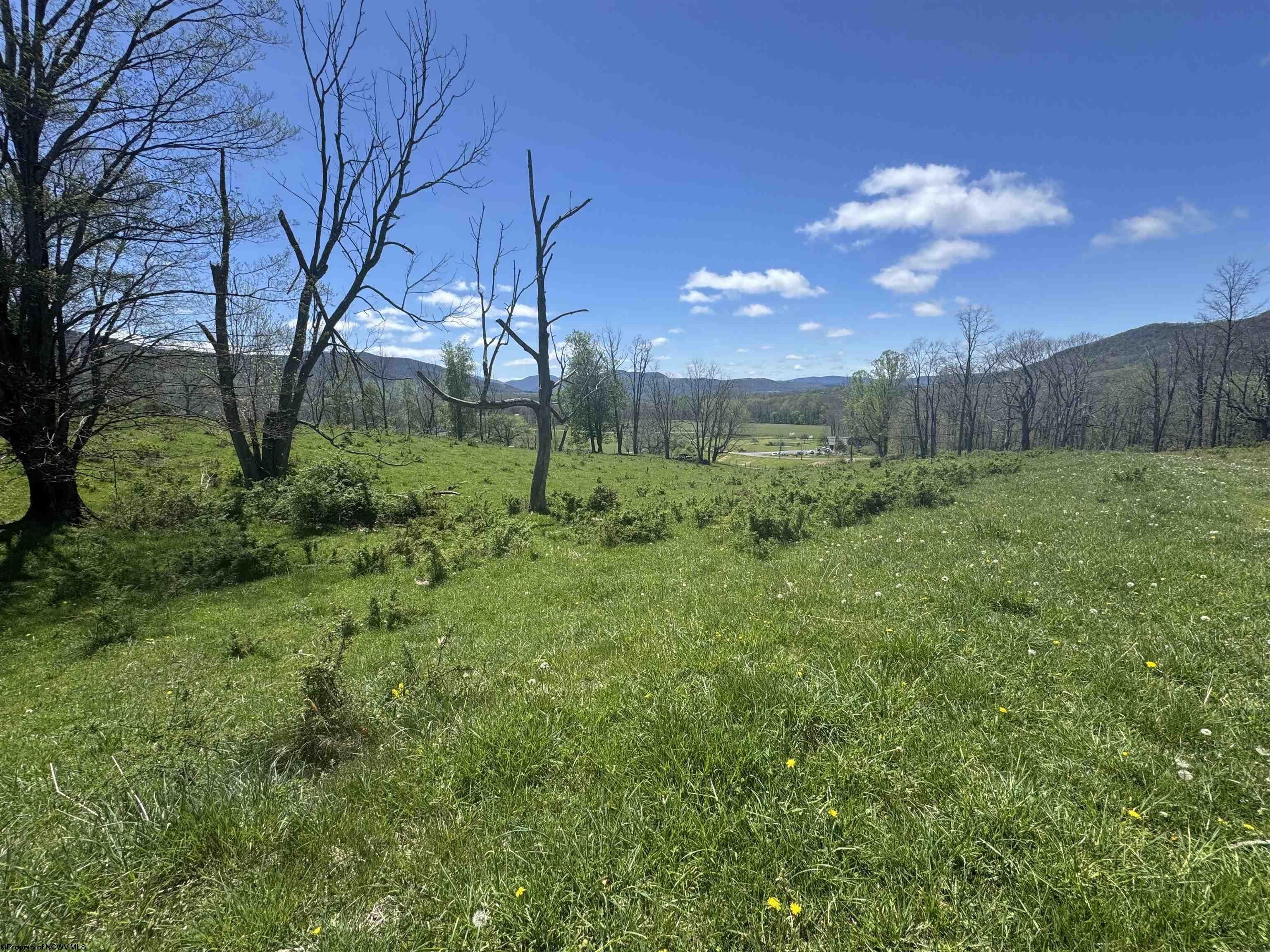 Plots and Land - 100 Miller Farm Lane, Dryfork, WV