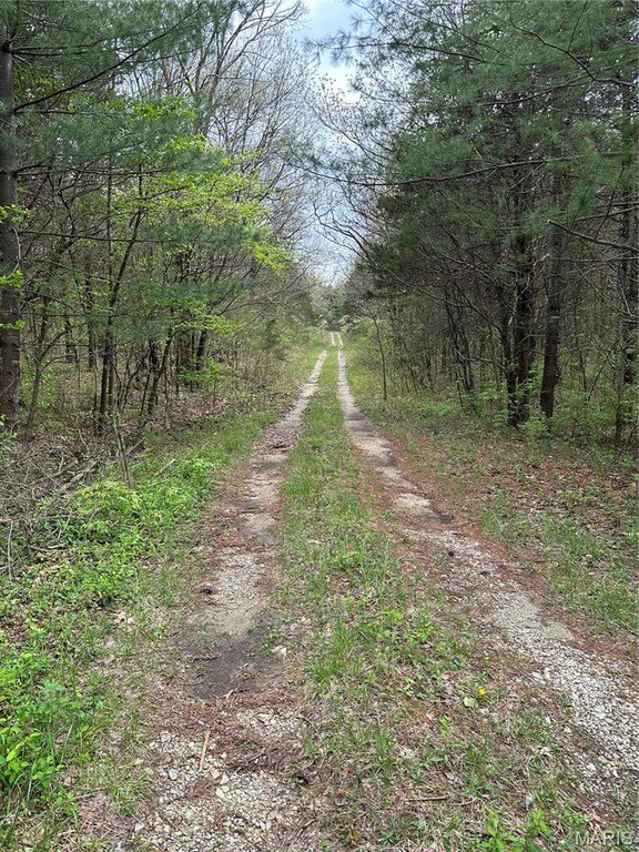 Plots and Land - 0 Butcher Branch Road, Unincorporated, MO