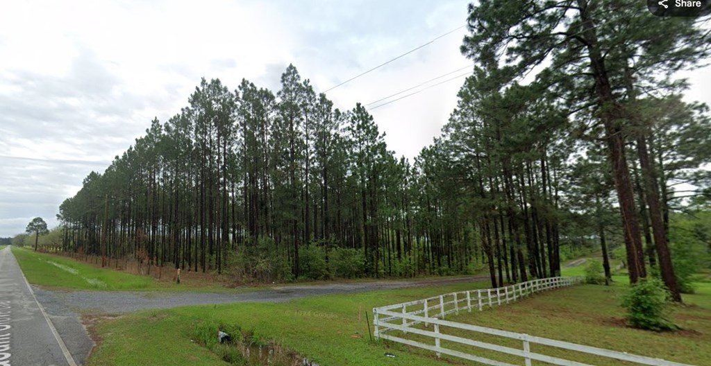 Single Family - 0 Pleasant Grove Church Road, Albany, GA