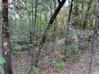 Other - Tract 6 CR 369, Oxford, MS