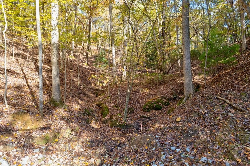 Other - 1.14 Ac Parker Way, Ellijay, GA